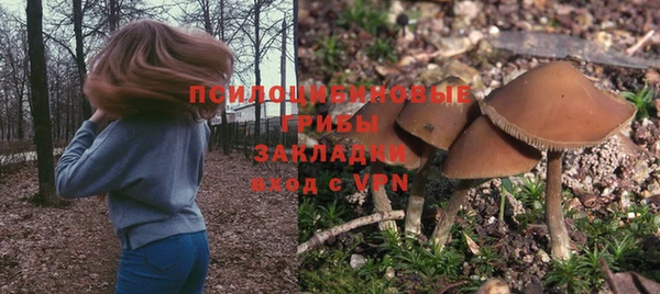 стаф Краснотурьинск