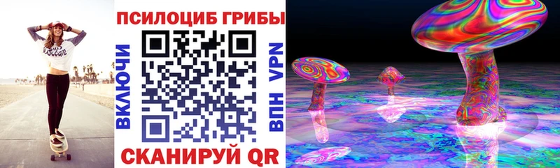 Псилоцибиновые грибы Cubensis  Рубцовск 